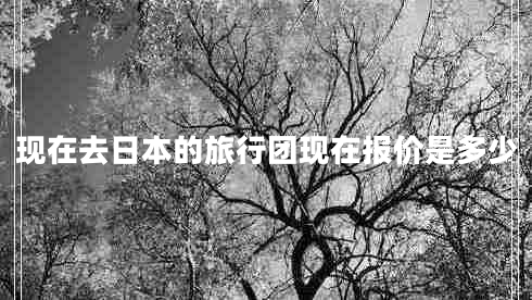 現(xiàn)在去日本的旅行團(tuán)現(xiàn)在報(bào)價(jià)是多少 現(xiàn)在去日本的旅行團(tuán)現(xiàn)在報(bào)價(jià)是多少