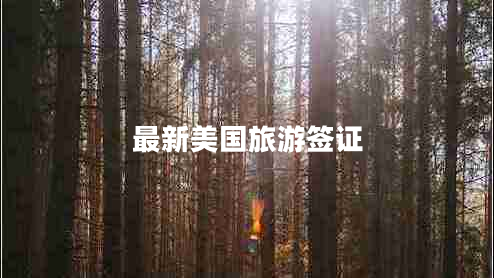 最新美國旅游簽證