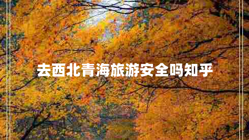 去西北青海旅游安全嗎知乎