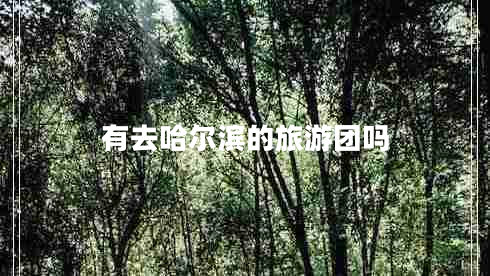 有去哈爾濱的旅游團嗎