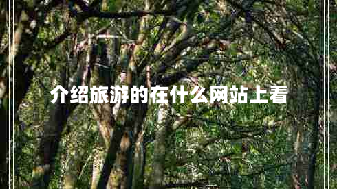 介紹旅游的在什么網(wǎng)站上看