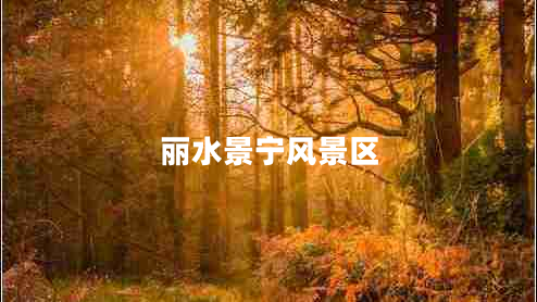 麗水景寧風景區(qū) 麗水景寧風景區(qū)