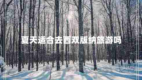 夏天適合去西雙版納旅游嗎