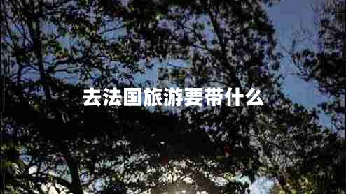 去法國旅游要帶什么