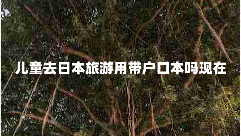 兒童去日本旅游用帶戶口本嗎現(xiàn)在