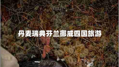 丹麥瑞典芬蘭挪威四國旅游