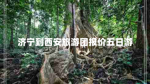 濟(jì)寧到西安旅游團(tuán)報(bào)價(jià)五日游 濟(jì)寧到西安旅游團(tuán)報(bào)價(jià)五日游