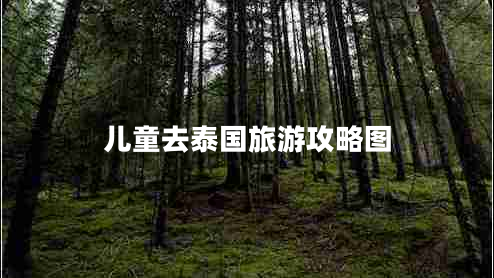 兒童去泰國旅游攻略圖 兒童去泰國旅游攻略圖