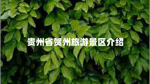 貴州省賀州旅游景區(qū)介紹 貴州省賀州旅游景區(qū)介紹