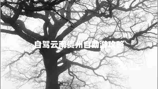 自駕云南貴州自助游攻略