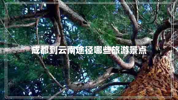 成都到云南途徑哪些旅游景點