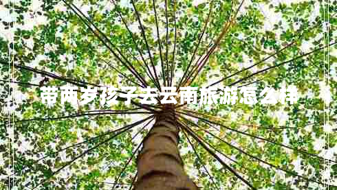 帶兩歲孩子去云南旅游怎么樣 帶兩歲孩子去云南旅游怎么樣
