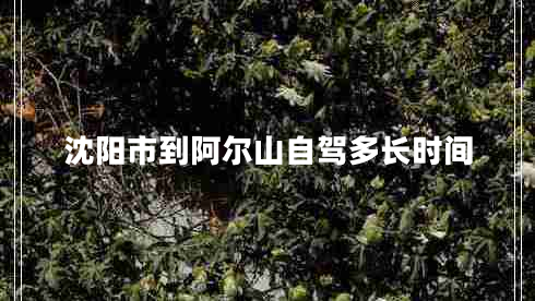 沈陽市到阿爾山自駕多長時間