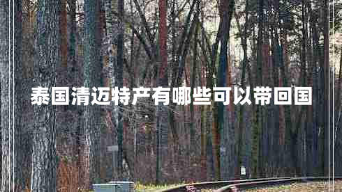 泰國(guó)清邁特產(chǎn)有哪些可以帶回國(guó) 泰國(guó)清邁特產(chǎn)有哪些可以帶回國(guó)