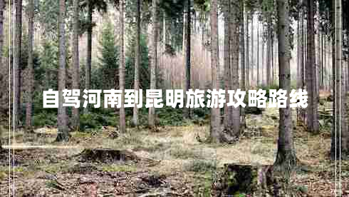 自駕河南到昆明旅游攻略路線