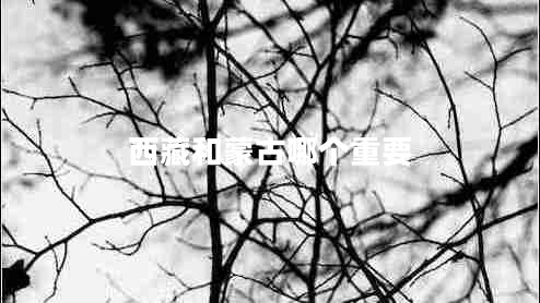 西藏和蒙古哪個重要 西藏和蒙古哪個重要