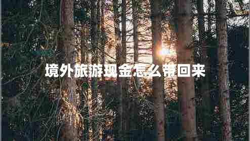 境外旅游現(xiàn)金怎么帶回來(lái) 境外旅游現(xiàn)金怎么帶回來(lái)