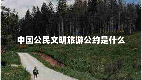 中國(guó)公民文明旅游公約是什么