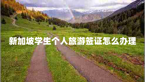 新加坡學(xué)生個人旅游簽證怎么辦理 新加坡學(xué)生個人旅游簽證怎么辦理
