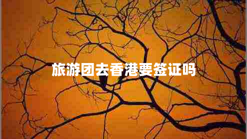 旅游團去香港要簽證嗎