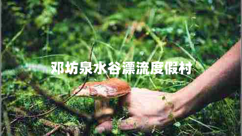 鄧坊泉水谷漂流度假村