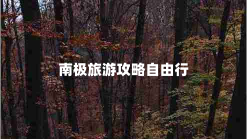 南極旅游攻略自由行 南極旅游攻略自由行