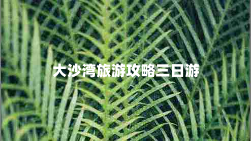 大沙灣旅游攻略三日游