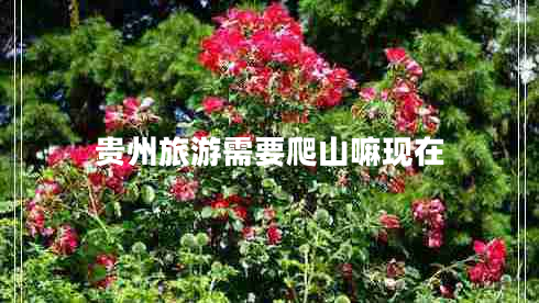 貴州旅游需要爬山嘛現(xiàn)在