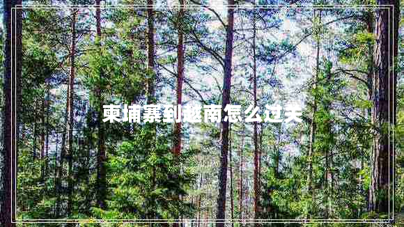 柬埔寨到越南怎么過關(guān)