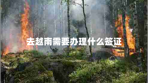 去越南需要辦理什么簽證