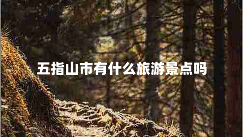 五指山市有什么旅游景點嗎 五指山市有什么旅游景點嗎