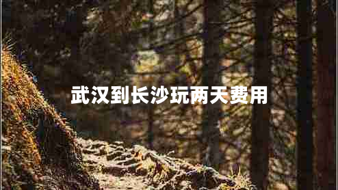 武漢到長沙玩兩天費用 武漢到長沙玩兩天費用