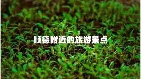 順德附近的旅游景點(diǎn)