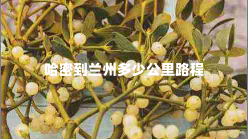 哈密到蘭州多少公里路程