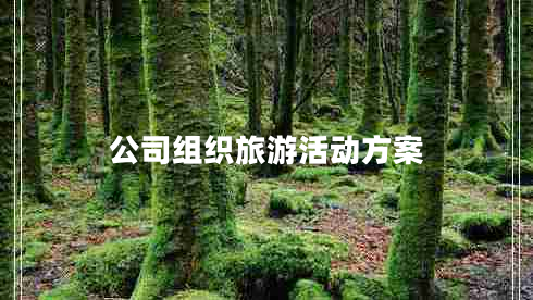 公司組織旅游活動方案