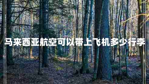 馬來(lái)西亞航空可以帶上飛機(jī)多少行李