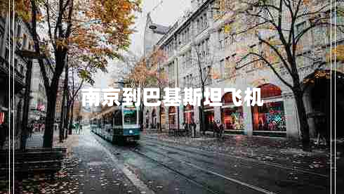 南京到巴基斯坦飛機(jī)