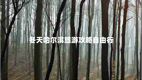 冬天哈爾濱旅游攻略自由行 冬天哈爾濱旅游攻略自由行