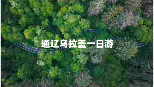 通遼烏拉蓋一日游