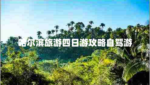 哈爾濱旅游四日游攻略自駕游