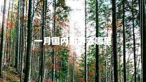 一月國內(nèi)旅游去哪里