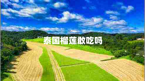 泰國榴蓮敢吃嗎 泰國榴蓮敢吃嗎