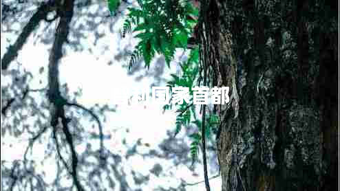 智利國(guó)家首都