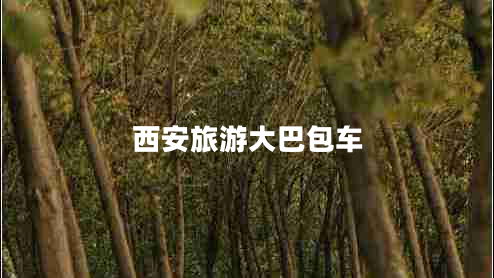 西安旅游大巴包車