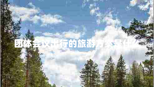 團(tuán)體會議出行的旅游方案是什么