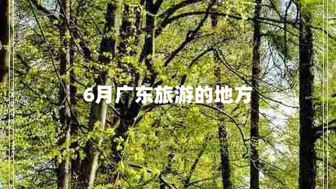 6月廣東旅游的地方