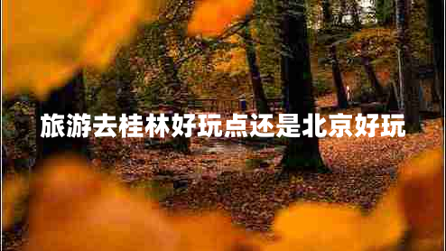 旅游去桂林好玩點還是北京好玩