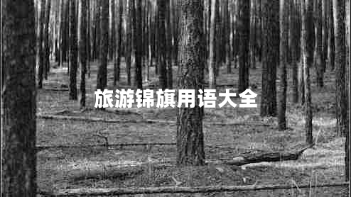 旅游錦旗用語大全