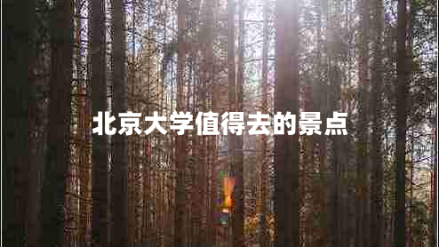 北京大學(xué)值得去的景點