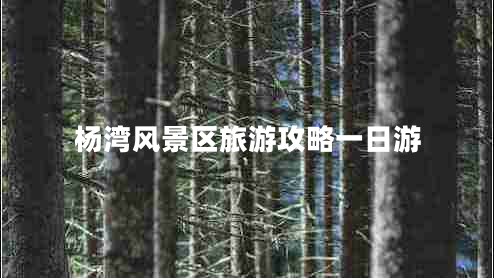 楊灣風(fēng)景區(qū)旅游攻略一日游 楊灣風(fēng)景區(qū)旅游攻略一日游